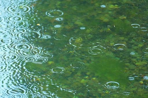 雨の波形ー自然の美 雨の波形,雨の日,波形の写真素材