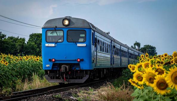 向日葵と電車 向日葵と電車の写真