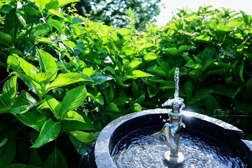 光輝く水、爽やかな公園の給水 水飲み場,公園,水の写真素材