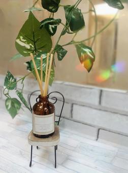 アロマディフューザーとグリーンのコラボ アロマディフューザーとグリーンのコラボ アロマ,アロマディフューザー,アロマオイルの写真素材