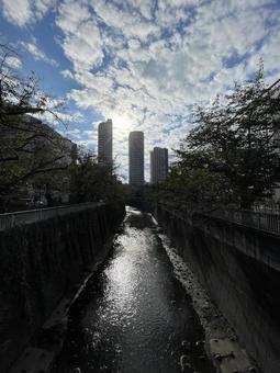 神田川10月:逆光の高層マンション 縦 神田川10月:逆光の高層マンション 縦 高層マンション,晴れ,ひつじ雲の写真素材