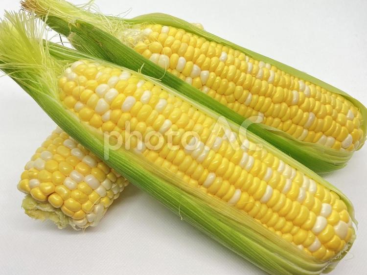 みずみずしいとうもろこし 夏野菜,とうもろこし,夏の写真素材
