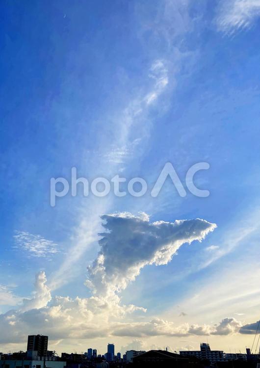 夕暮れ 夕暮れ,夕焼け,夕映えの写真素材