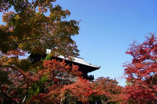 南禅寺 南禅寺の写真