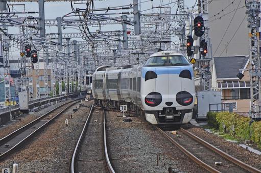 ２８７系特急くろしお　パンダラッピング車の写真