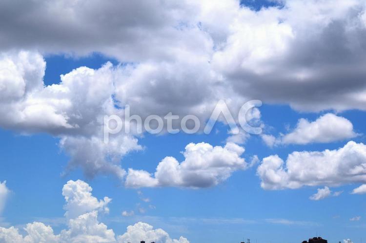 夏の空と夏の雲03 青空,空,白い雲の写真素材