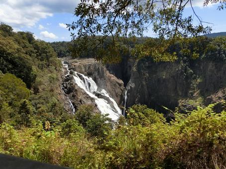 ジャングルの中の滝 ジャングル,キュランダ,滝の写真素材
