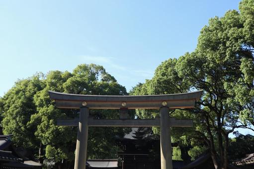 明治神宮 鳥居 明治神宮 鳥居 明治神宮,パワースポット,鳥居の写真素材