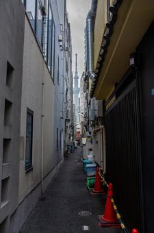 浅草の路地裏 浅草,路地裏,スカイツリーの写真素材