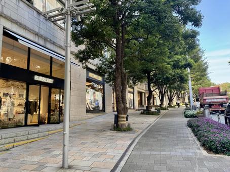 けやき坂の街並み けやき坂の街並み 六本木,六本木ヒルズ,けやき坂の写真素材