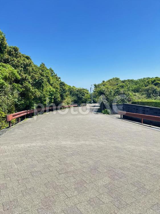 樫野埼灯台付近　園地内　紀伊大島 串本町樫野,紀伊大島,園地内の写真素材