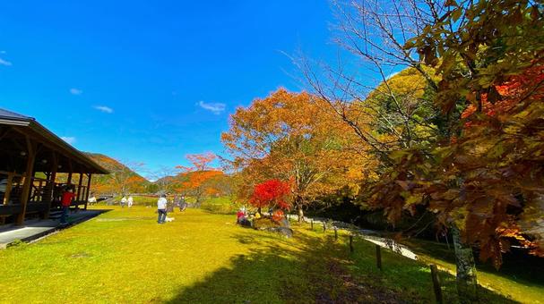 紅葉のせせらぎ街道 パスカル清見:3 紅葉のせせらぎ街道 パスカル清見:3 紅葉,せせらぎ街道,秋の写真素材