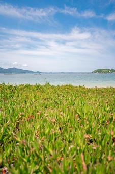 海岸沿いから眺める景色 海岸沿いから眺める景色 海,海岸,海岸沿いの写真素材