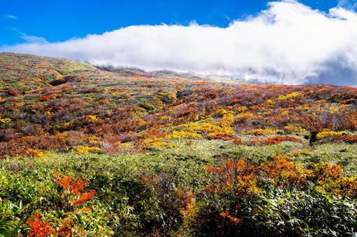 栗駒山 笠雲と紅葉の道 栗駒山 笠雲と紅葉の道 秋,紅葉,黄葉の写真素材