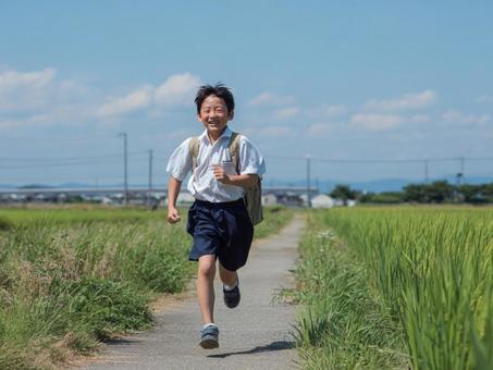 田舎の道を走る夏休み 田舎の道を走る夏休みの写真