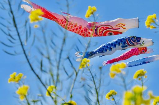 Carp streamer Children's Day image, JPG Carp streamer Children's Day image, carp streamer, children's day, image, JPG