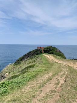 岬の社 海,岬,社の写真素材