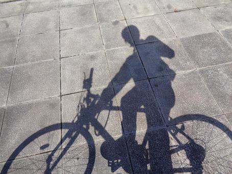 夏のサイクリング 夏のサイクリングの写真
