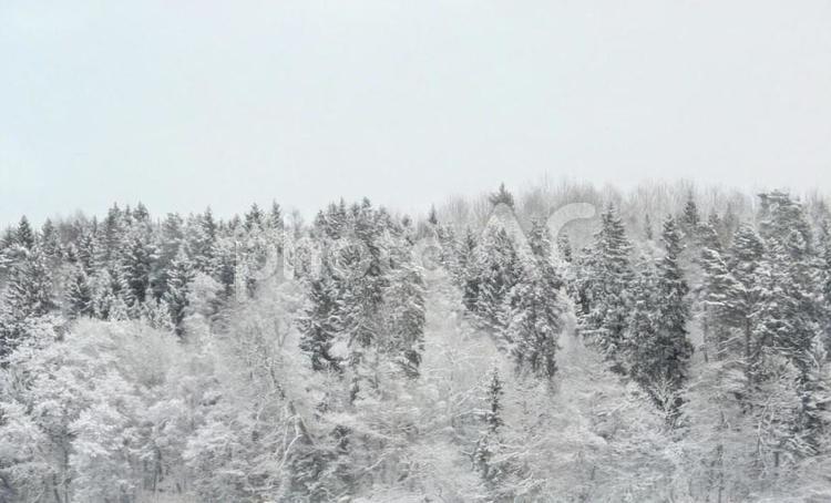 北欧の冬 北欧,冬,雪の写真素材