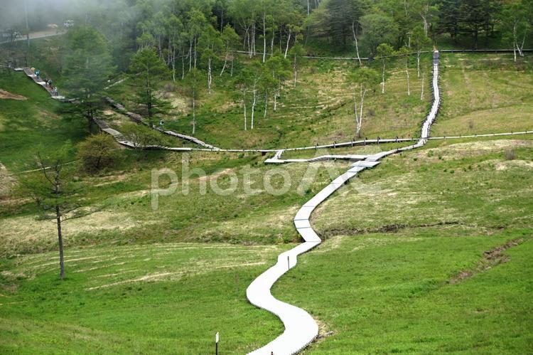 信州富士見町入笠山 信州,長野,入笠山の写真素材