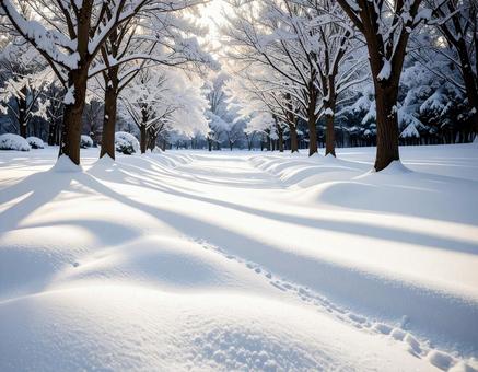 雪の遊歩道 雪の遊歩道の写真