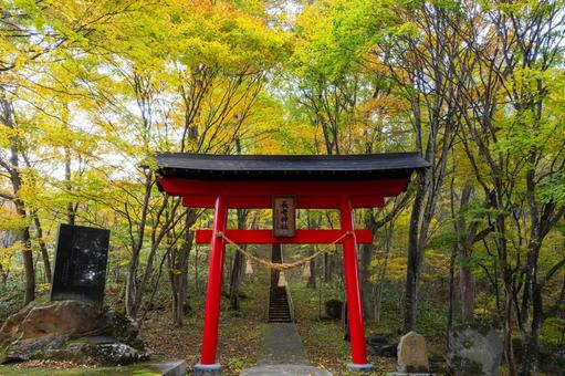 秋の長老神社⑵ 秋,神社,長老神社の写真素材