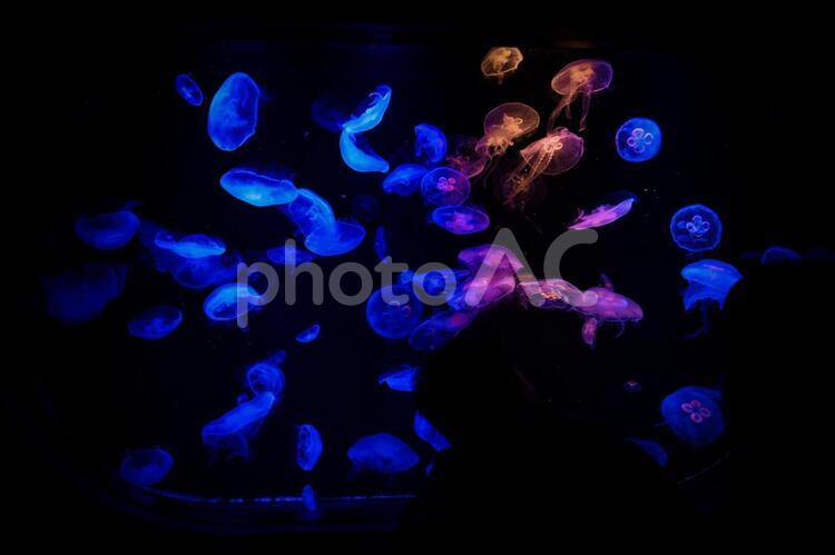 海の宇宙 クラゲ,抽象,暗黒の写真素材