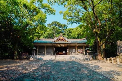 【和歌山】和歌山城 2025 【和歌山】和歌山城 2025の写真