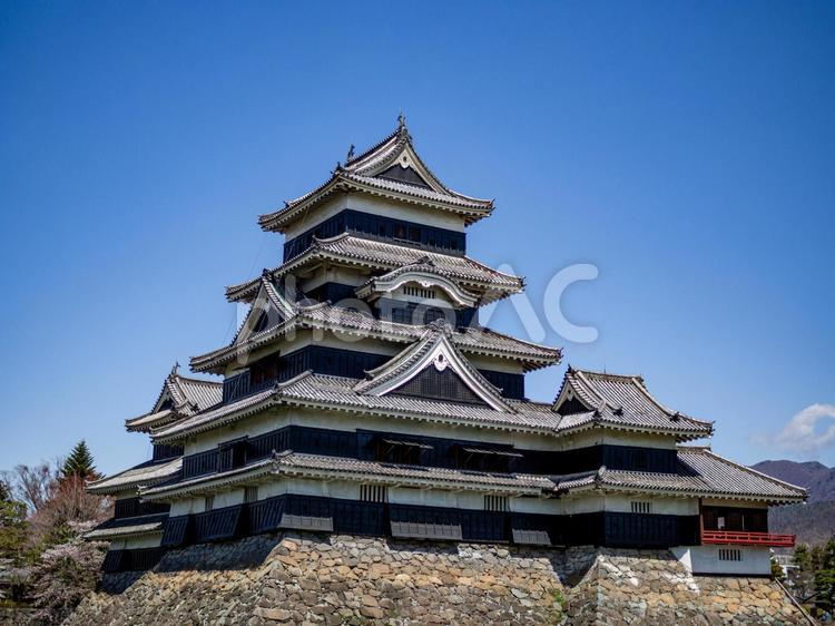松本城の美しい本丸 松本城,松本市,青空の写真素材