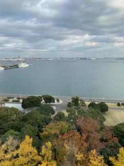 上から見た山下公園 風景,秋,山下公園の写真素材