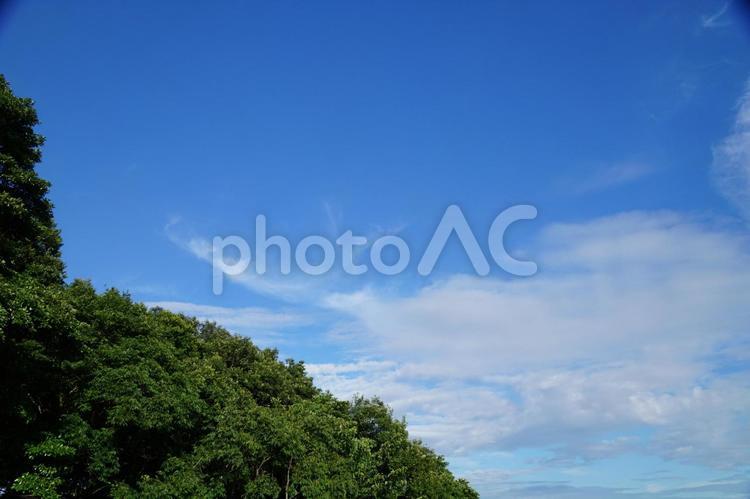 自然の風景 太陽,夏,夏空の写真素材
