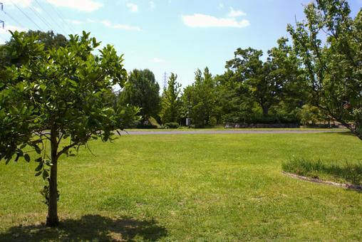 Photo, lawn square, park, green, 