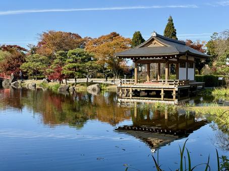 秋の昼間の紫式部公園　11月　紅葉 11月,昼間,カラフルの写真素材