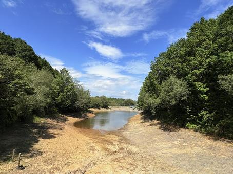 森に挟まれた湖の入り口 湖,森林,青空の写真素材