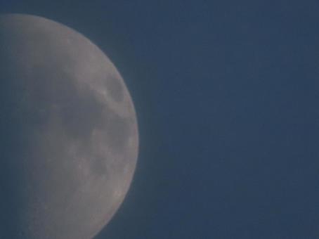 半月　ズームアップ 10月,半月,夜空の写真素材