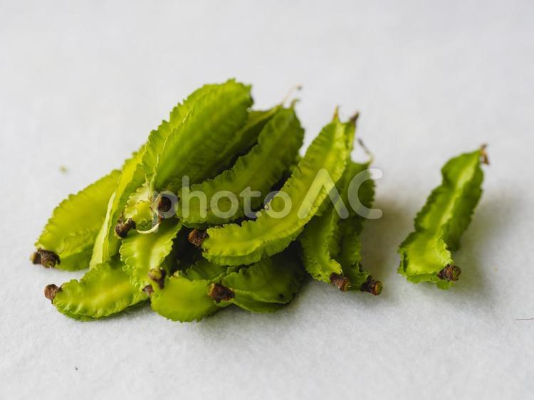 収穫された美味しい四角豆 四角豆,豆,緑の写真素材