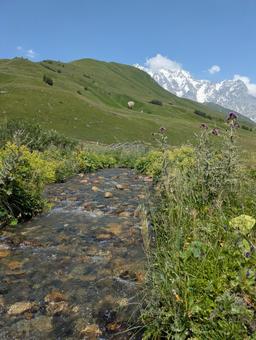 シュハラ氷河トレッキングコース シュハラ氷河,氷河,雪山の写真素材