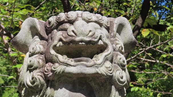 名古屋東照宮 狛犬 名古屋東照宮 狛犬 名古屋東照宮,東照宮,徳川家康の写真素材