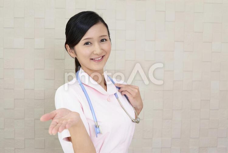 掌を見せる笑顔の看護師 看護師,看護婦,女性の写真素材
