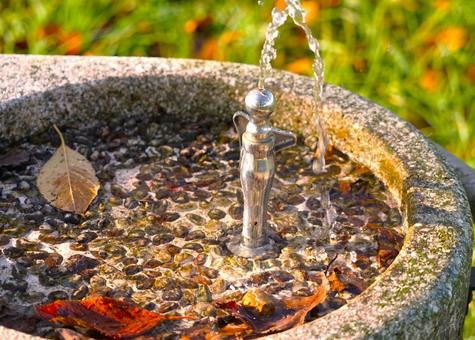 朝の水飲み場の落葉 朝の水飲み場の落葉 秋,水飲み場,落葉の写真素材