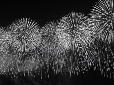 25柏崎ぎおん祭り 花火 25柏崎ぎおん祭り 花火の写真
