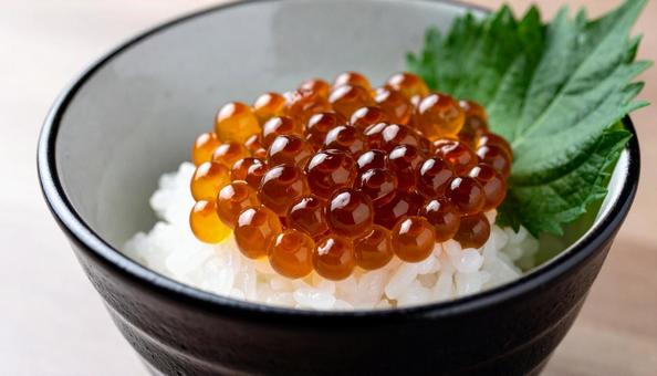ご飯にイクラをたっぷりのせて食べる ご飯にイクラをたっぷりのせて食べるの写真