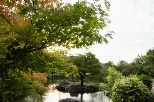 夏の公園 夏の公園の写真