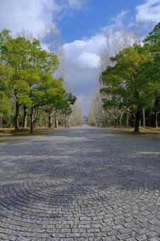 公園の石畳 公園の石畳の写真