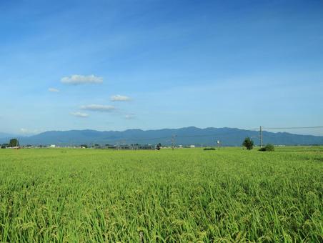 田園風景と夏空と山々 田園風景と夏空と山々の写真