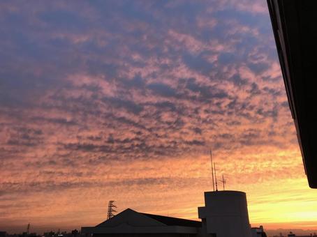 夕焼けのうろこ雲 夕焼け,雲,空の写真素材