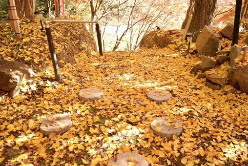 黄金の絨毯 黄金の絨毯の写真