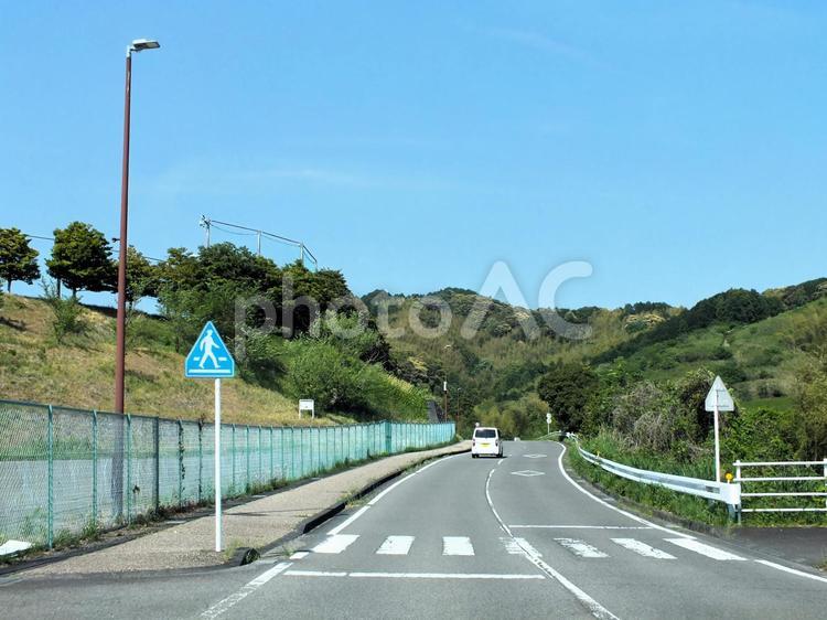 春の山の横断歩道 横断歩道,車,道路の写真素材