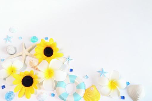 夏のイメージのフレーム 9 夏のイメージのフレーム 9の写真