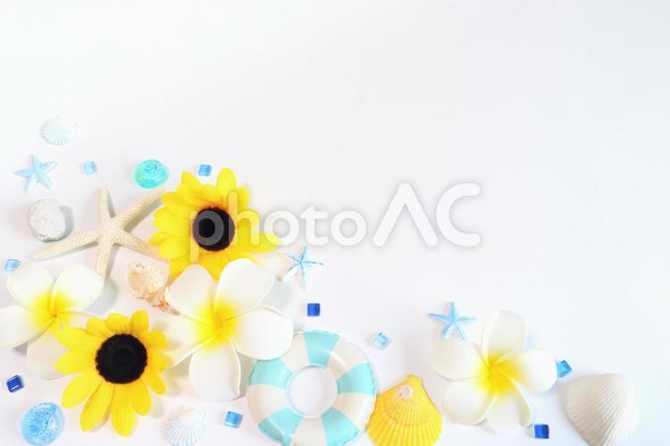 夏のイメージのフレーム　９ ビーチ,夏,夏休みの写真素材